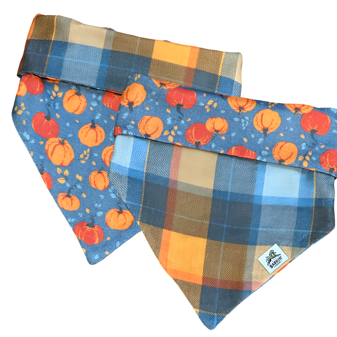 *New* Rustic Plaid and Pumpkin Delight (Reversible).