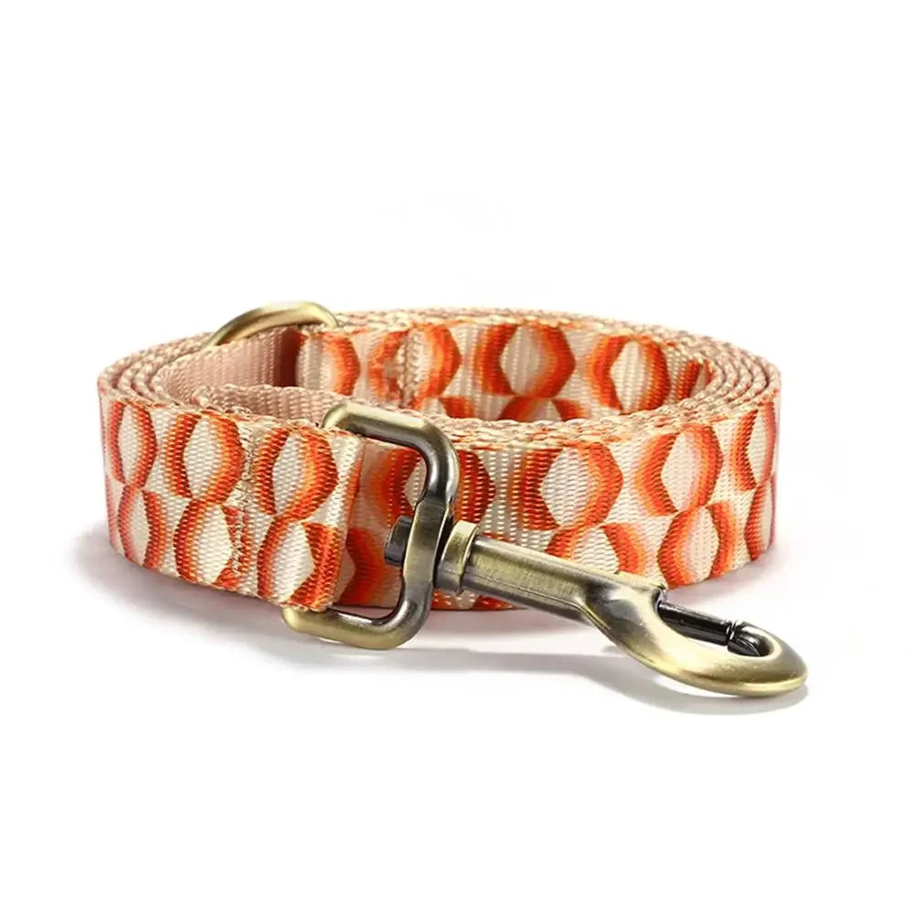 49318573769009|49318573965617|49318573998385|49318574031153|49318574063921