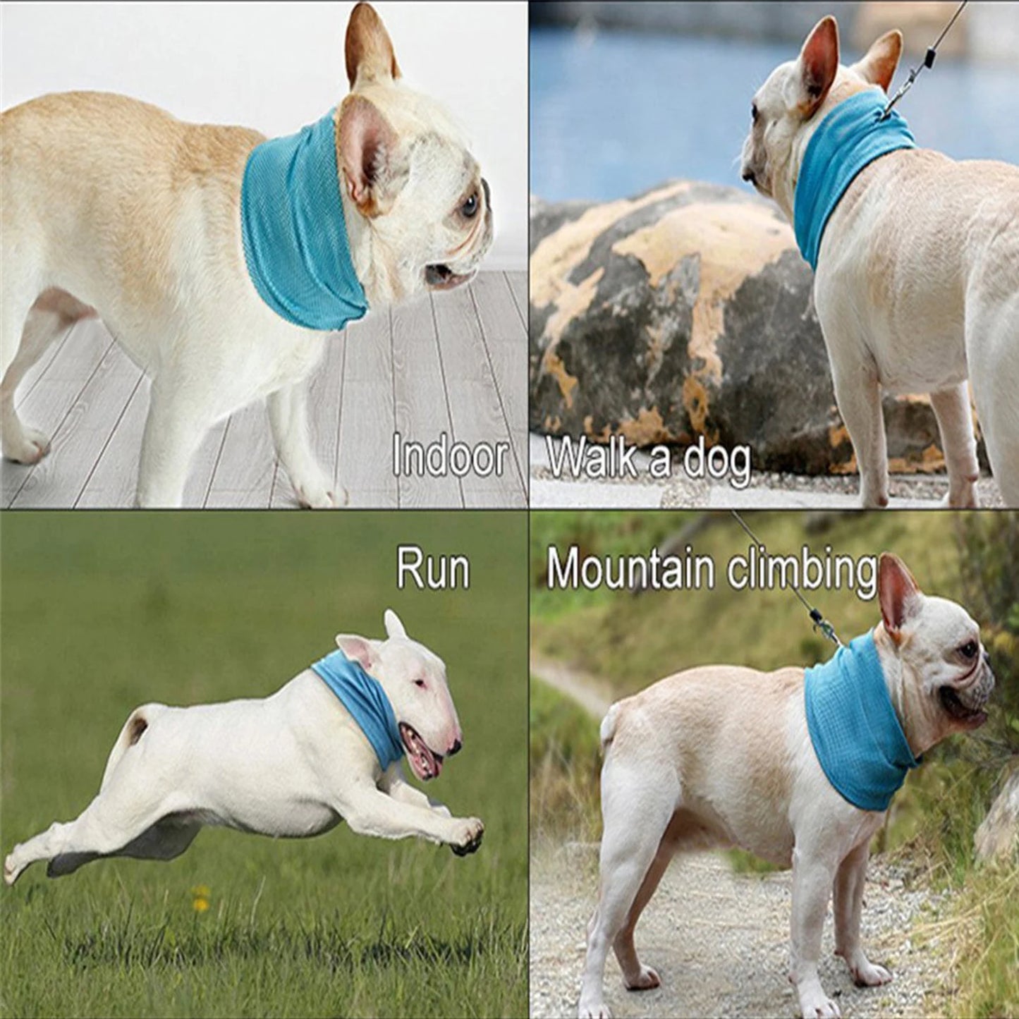 Chill Pup Breathable Cooling Collar.