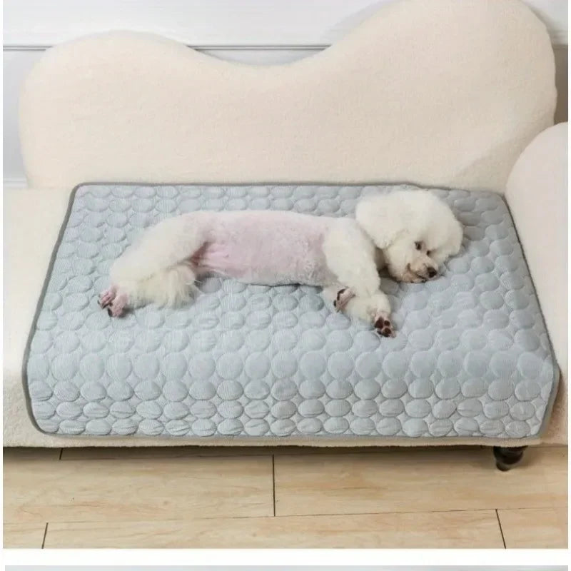 49174421766449|49174421799217|49174421897521|49174421930289|49174421963057|49174421995825