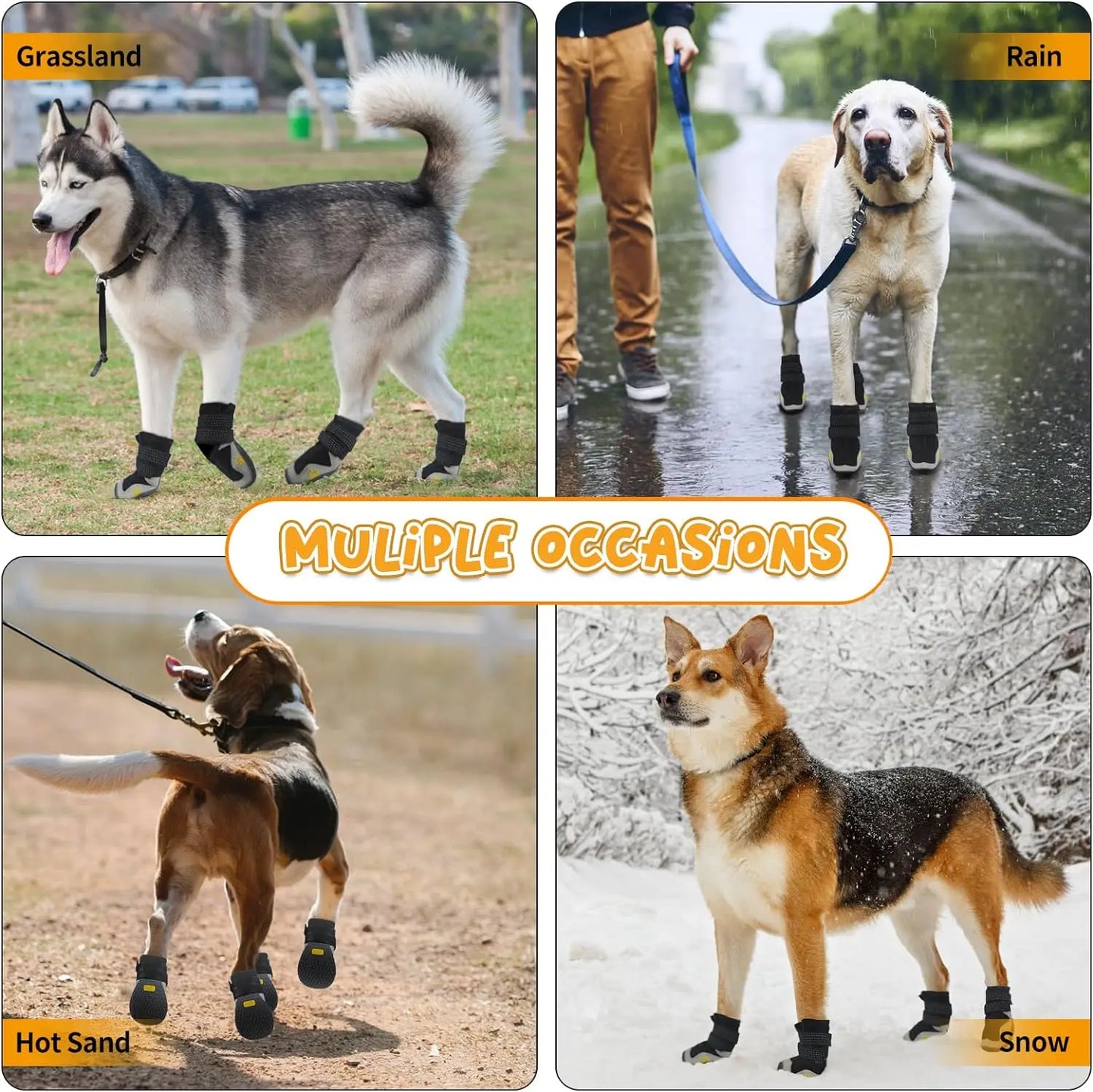 PawTrek Adventure Boots.