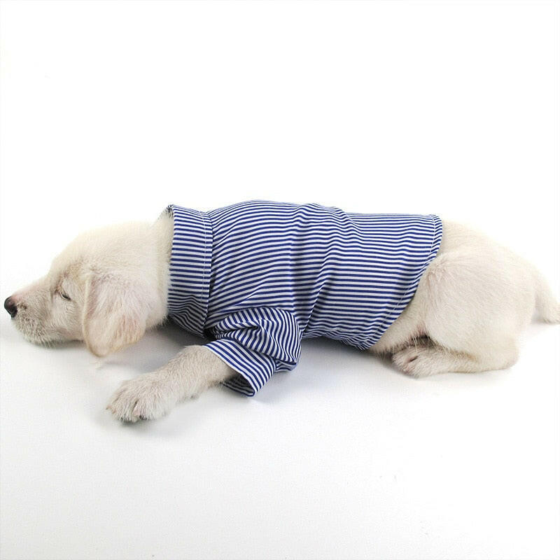 Charlie Shirts.