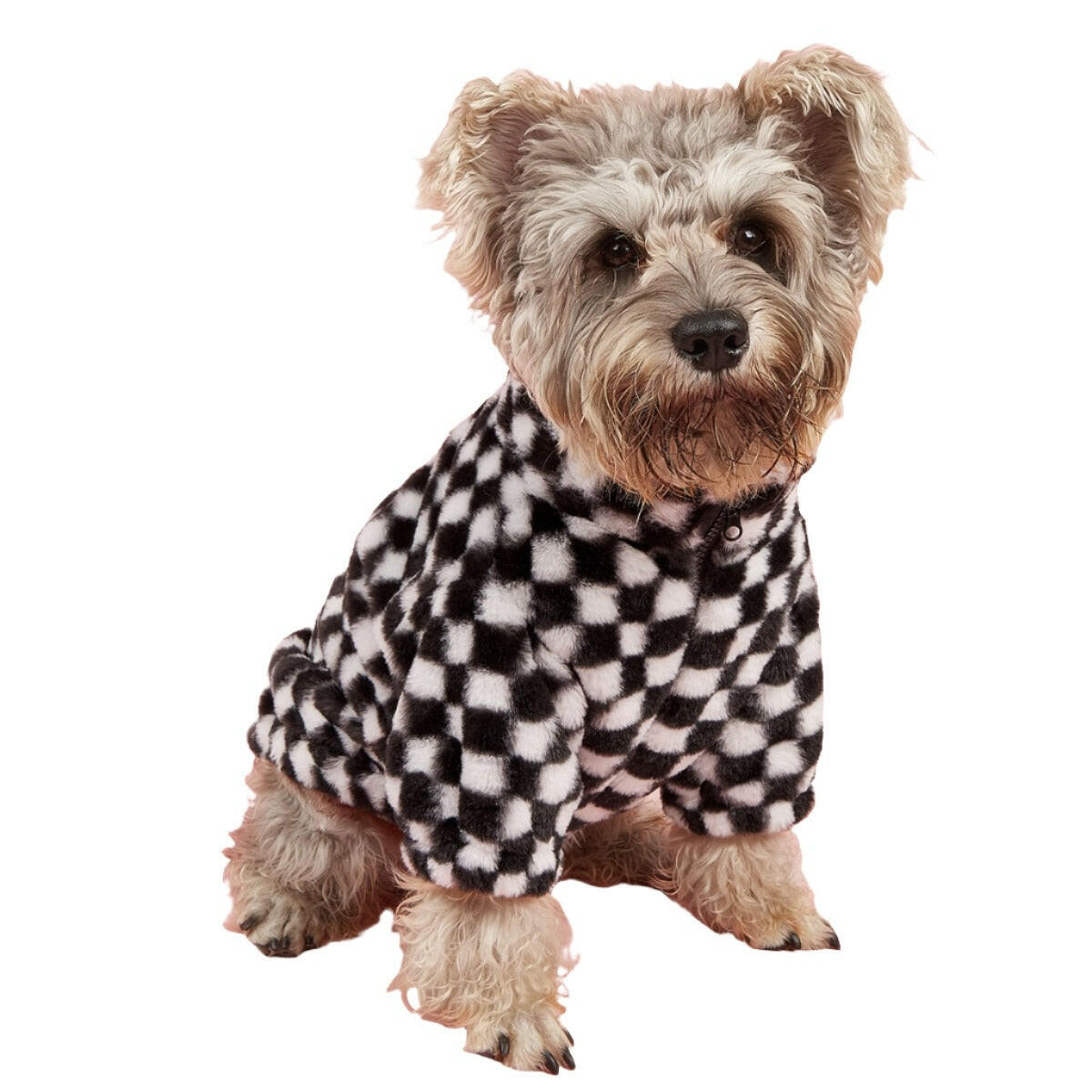 Retro Rover Coat.