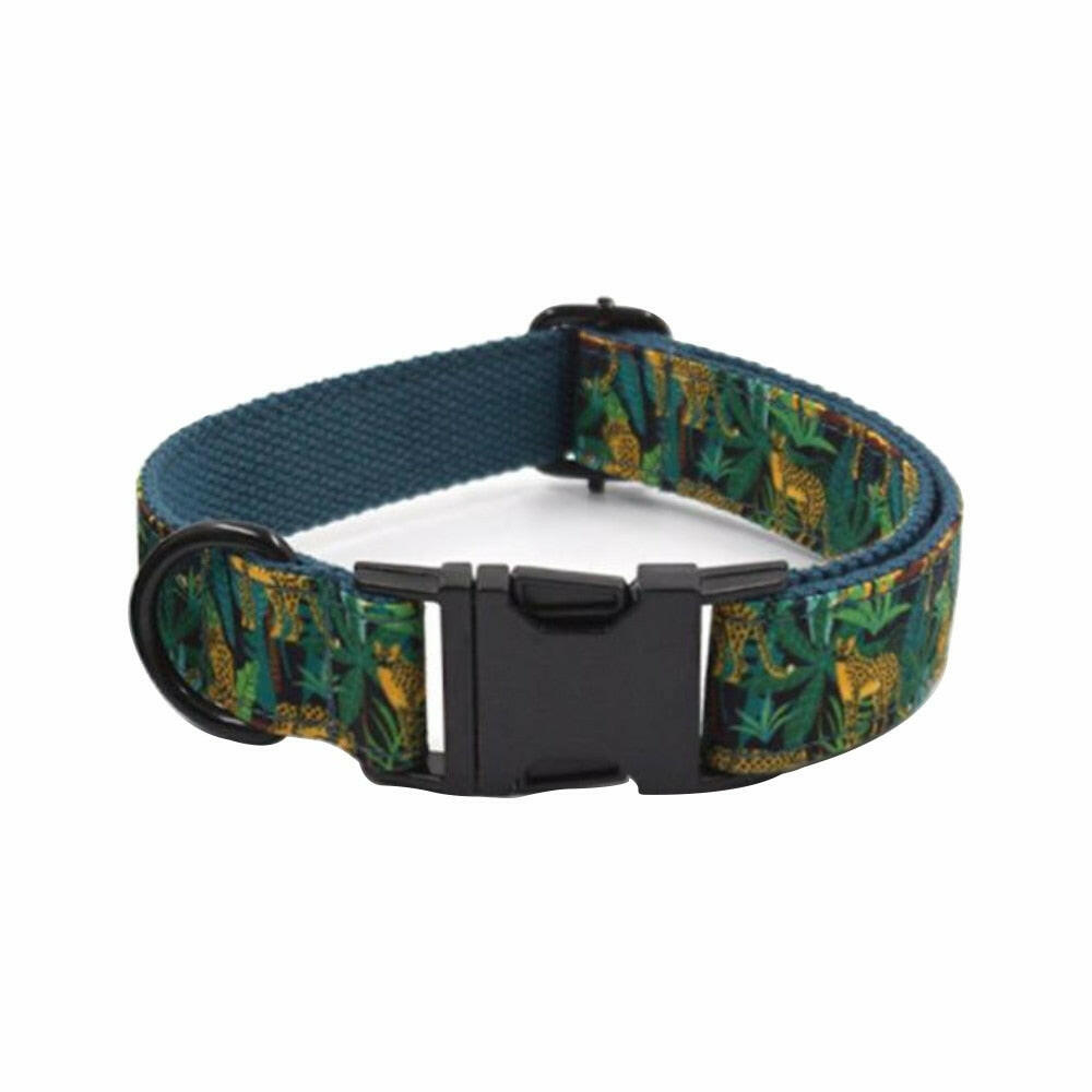 Rainforest Rhapsody.