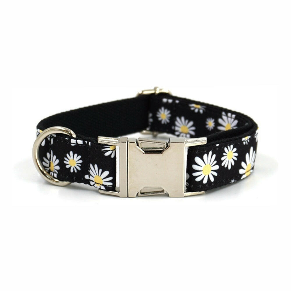 Daisy Delight.