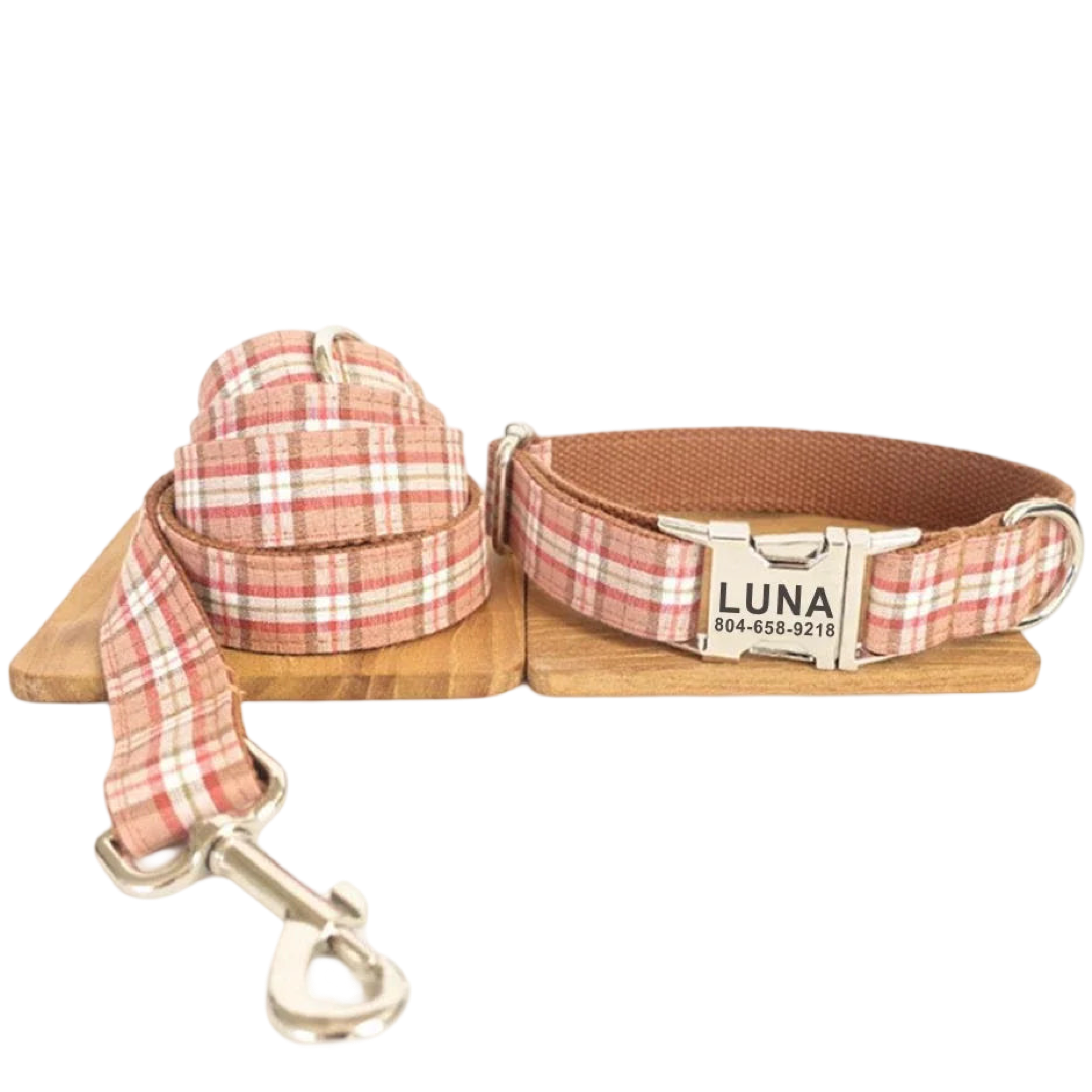 Autumn Plaid Charm Collar and Leash.