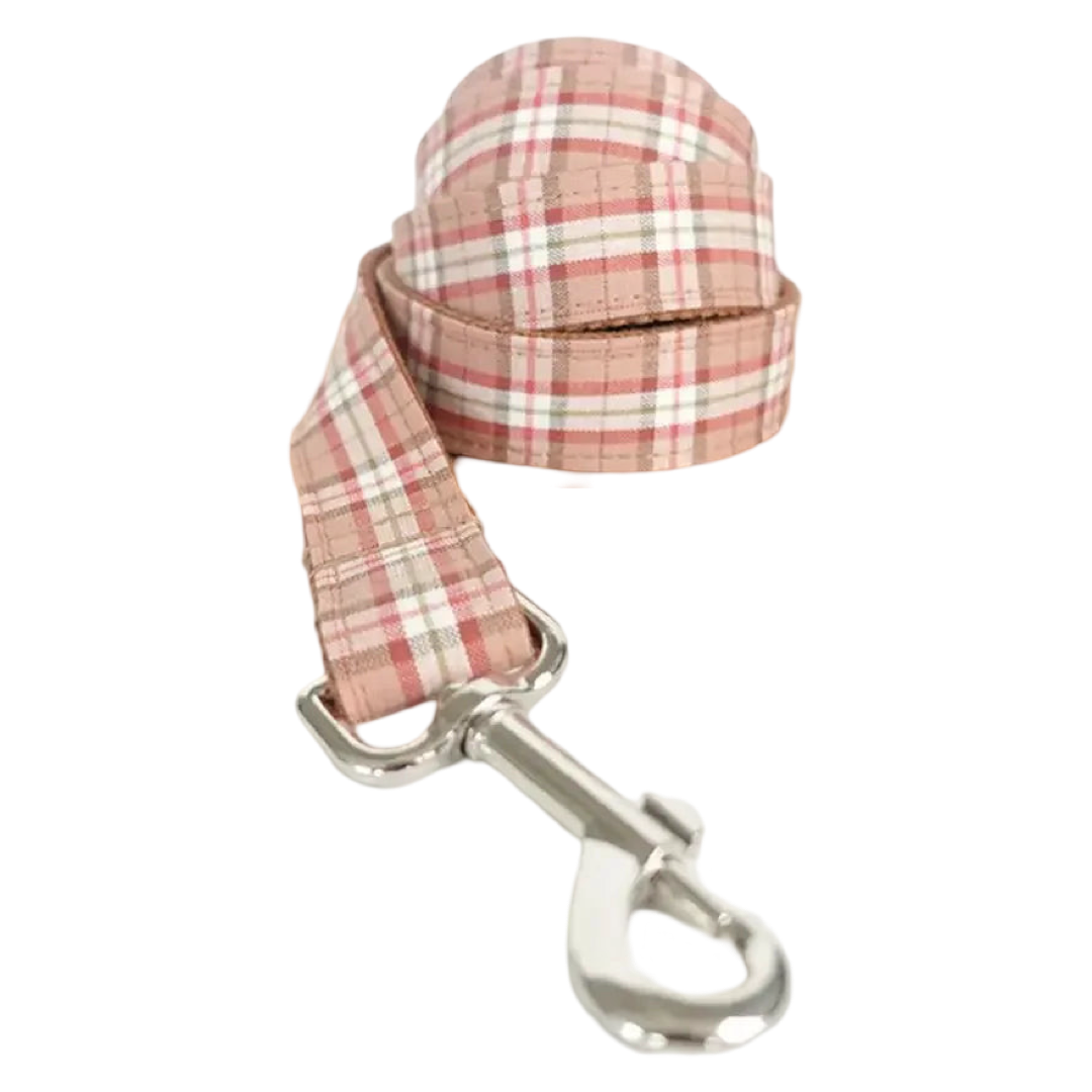 Autumn Plaid Charm Collar and Leash.