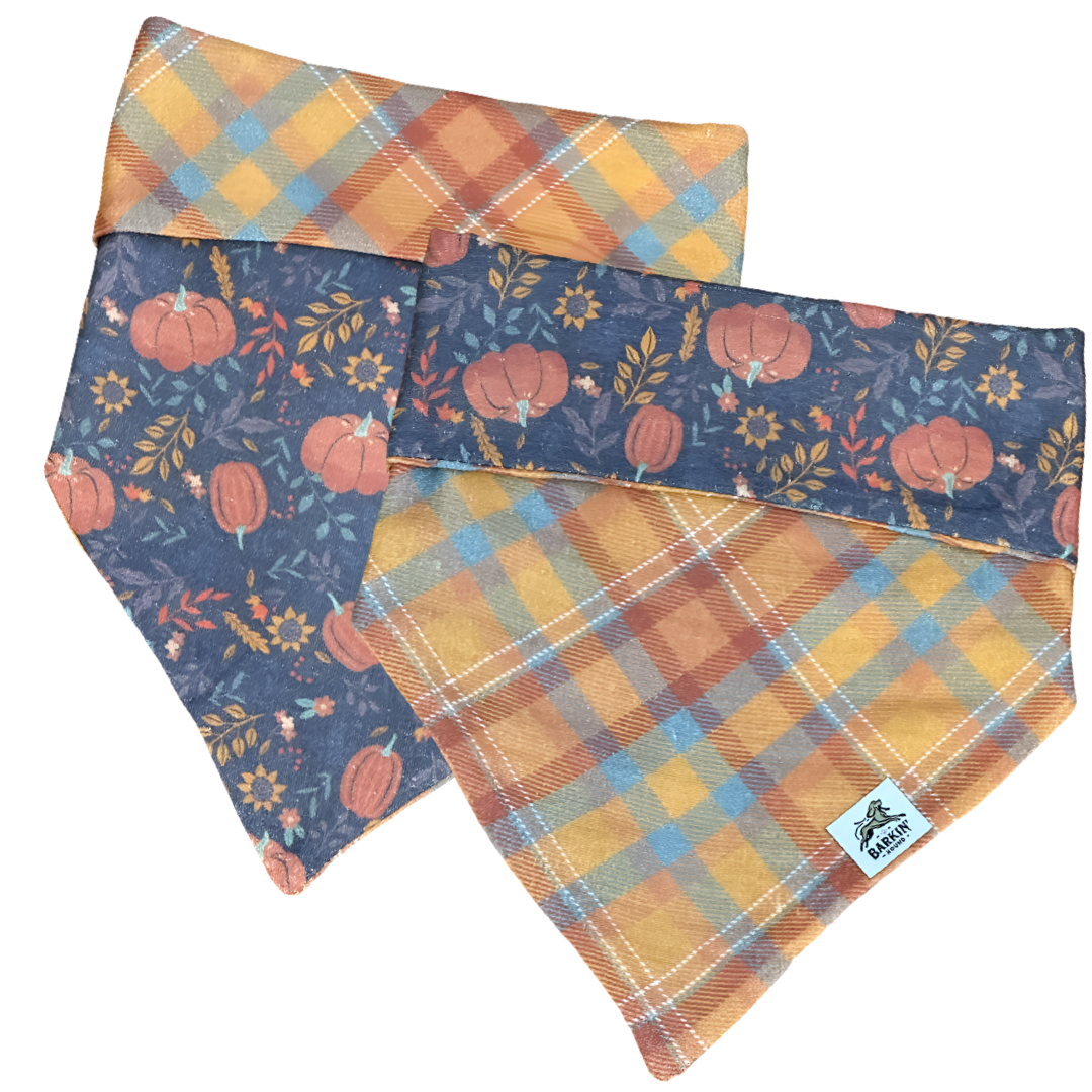 *New* Autumn Plaid and Pumpkin Harvest (Reversible).