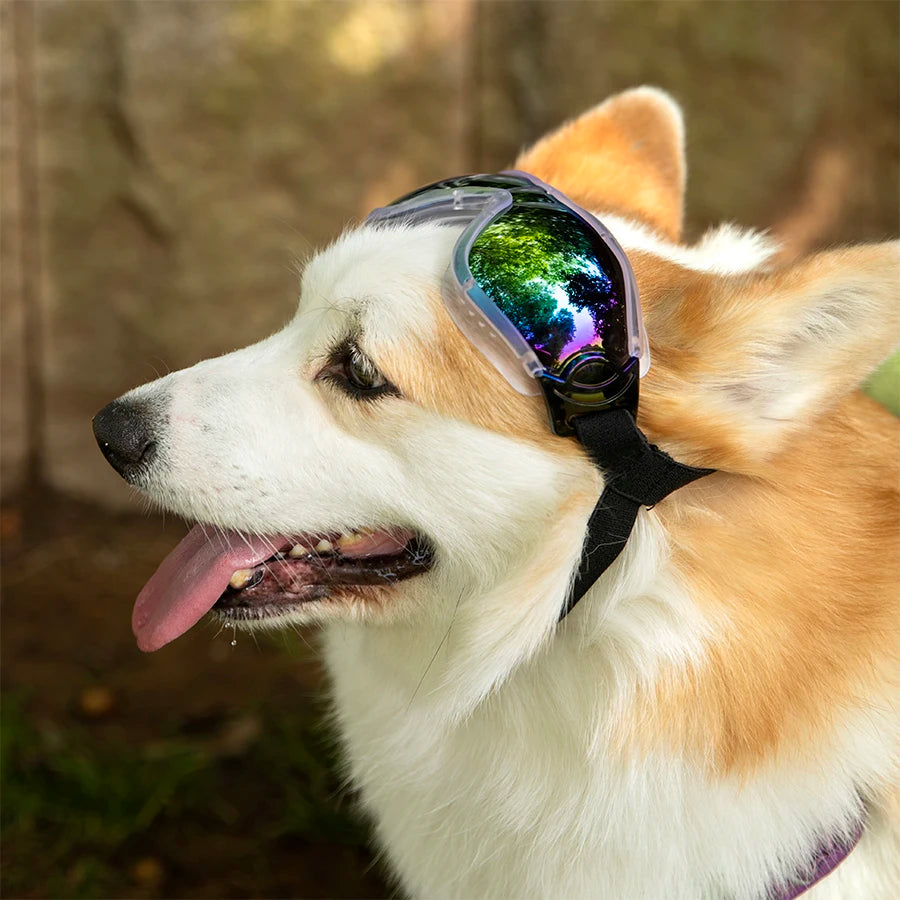 PoochShades Sunglasses.