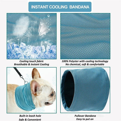 Chill Pup Breathable Cooling Collar.