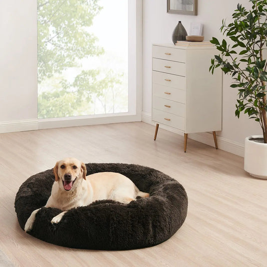 TranquilNest: The Calming Haven for Your Pet