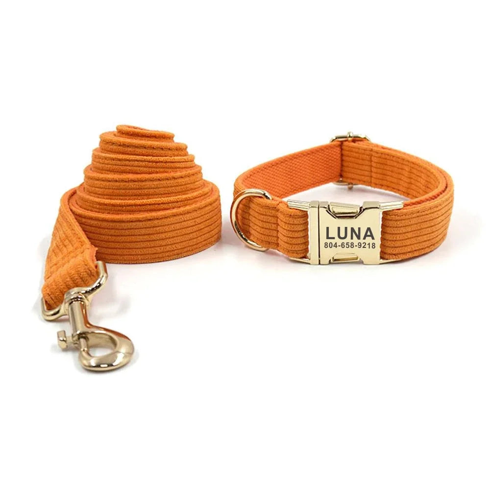 Pumpkin Spice Collar and Leash.