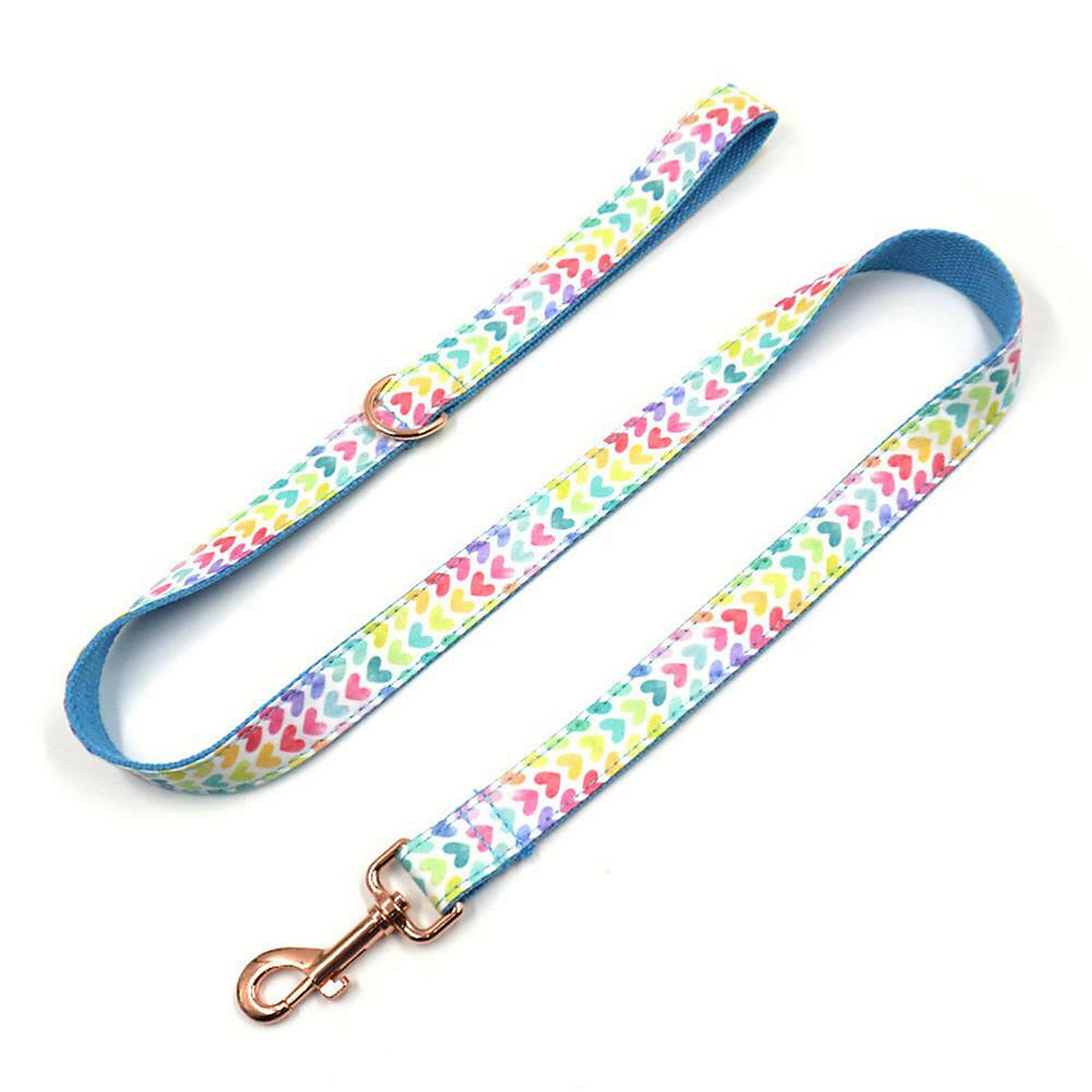Rainbow Joy full leash detail