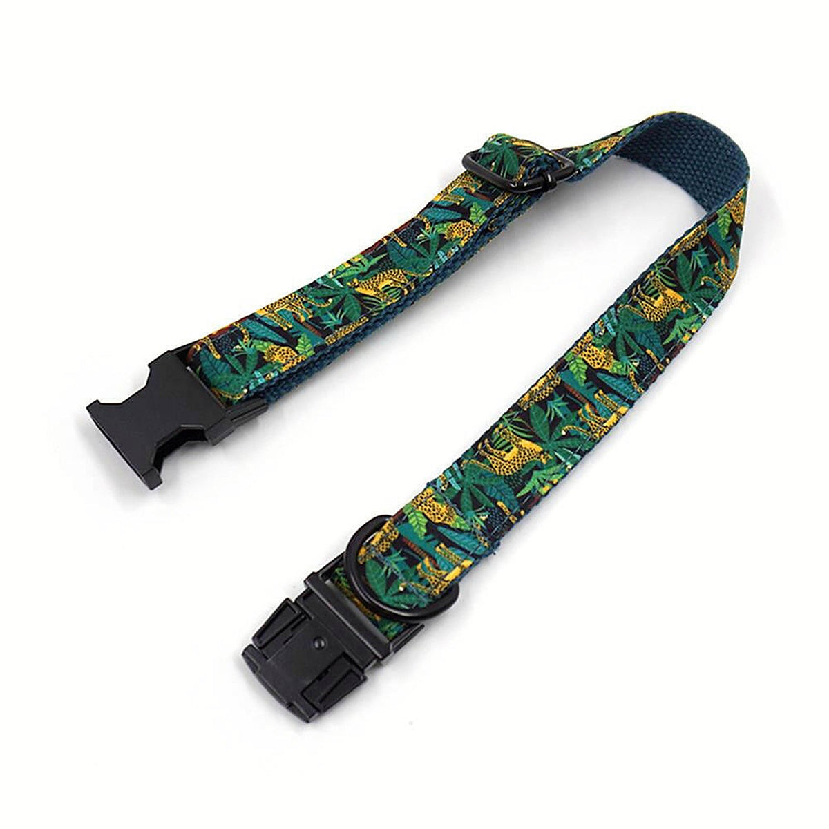 Rainforest Rhapsody collar and leash set
