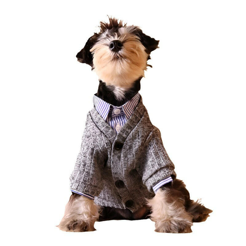 Astro Cardigans.