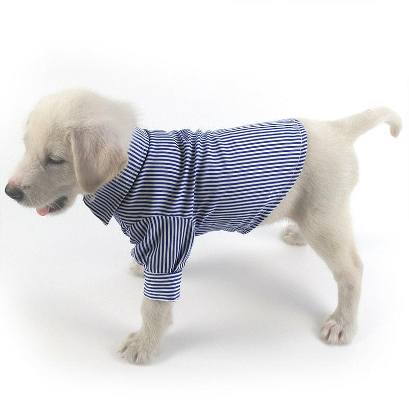 Charlie Shirts.