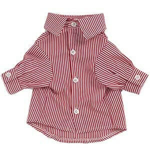 Charlie Shirts.