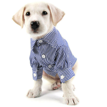 Charlie Shirts.